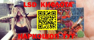 mdpv Новодвинск