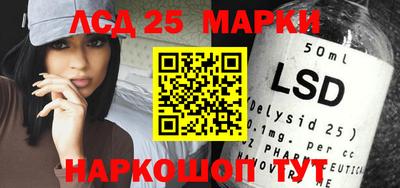 гидра Новозыбков