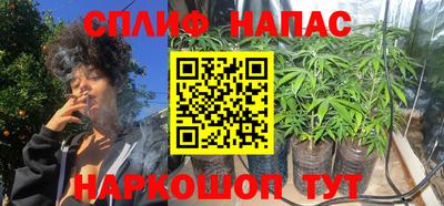 mdpv Новодвинск