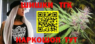 гидра Новозыбков