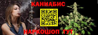гидра Новозыбков