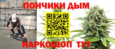 mdpv Новодвинск