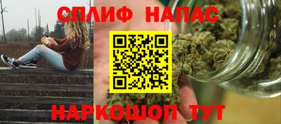 гидра Новозыбков