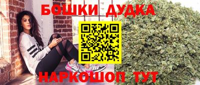 гидра Новозыбков