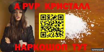 гидра Новозыбков