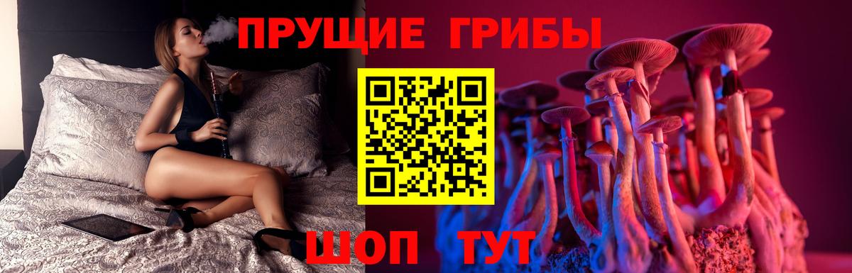 Галлюциногенные грибы Cubensis  наркота  Сланцы  Вход с VPN 